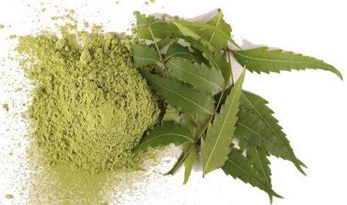 Bột lá neem là gì